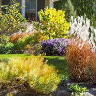 Colorful Outdoor Space