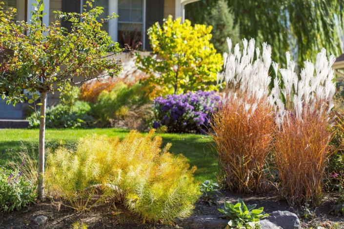 With the right plants, we can help accent your outdoor space.